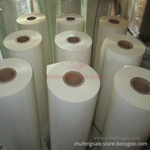 Polyester Film 6021